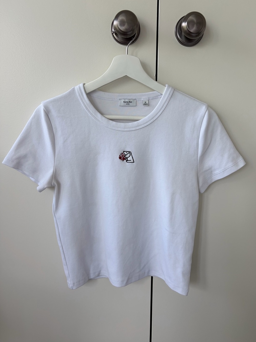 Aritzia Sunday Best Little Ribbed Icon Tshirt